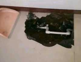 保定市卫生间测漏水多少钱